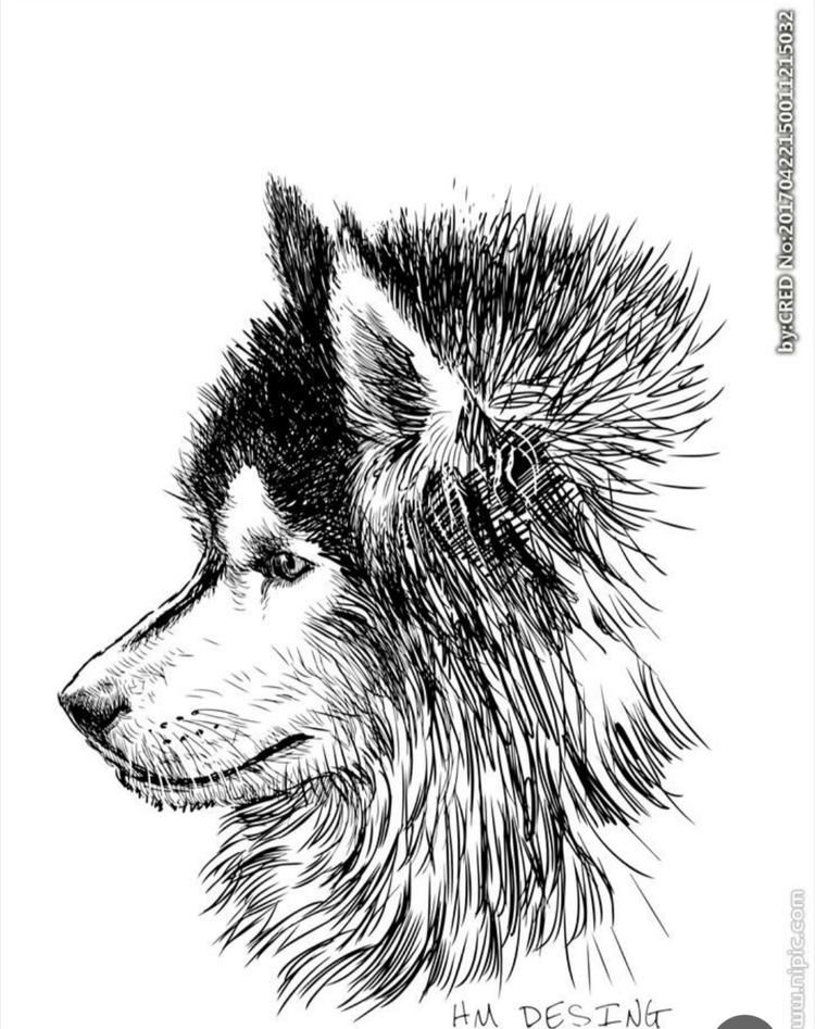 宁波毅行户外拓展有限公司的小店