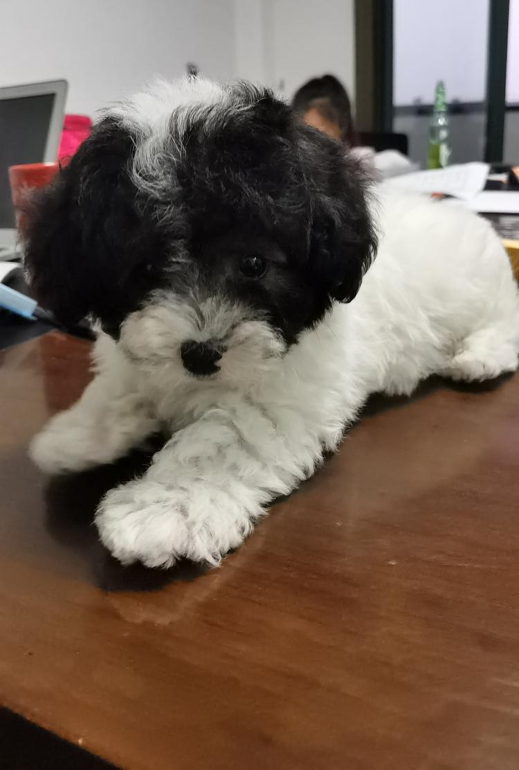 南通市格新针织品有限公司的小店