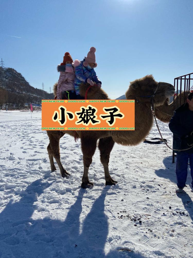 沈阳小娘子电子商务有限公司的小店