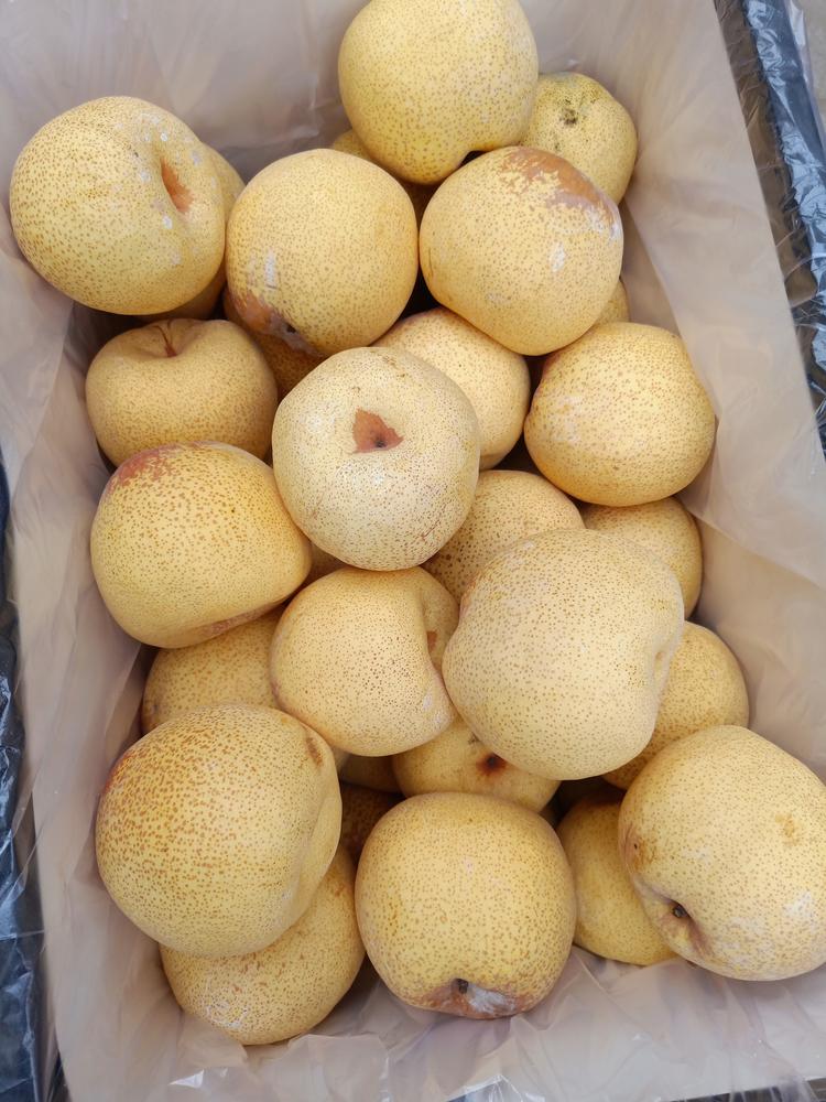 砀山县金康水果销售部的小店