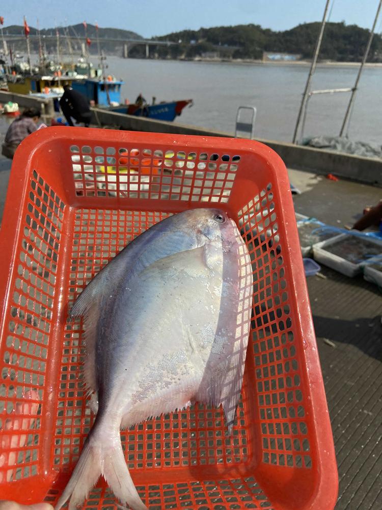 温州市龙湾永中四号水产摊的小店