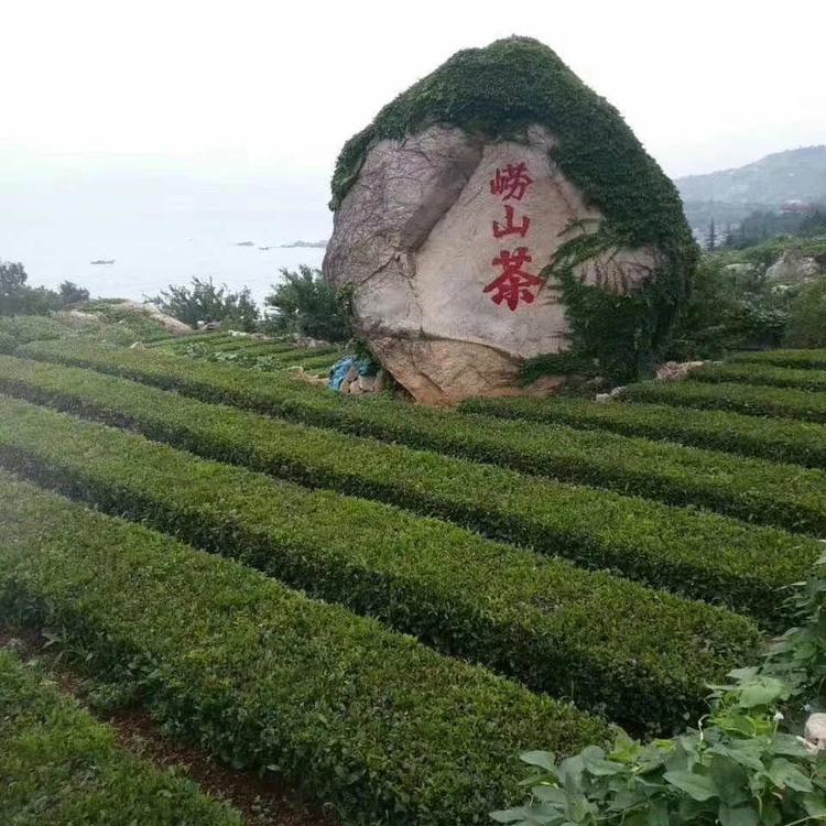 崂山区梁当家茶行的小店