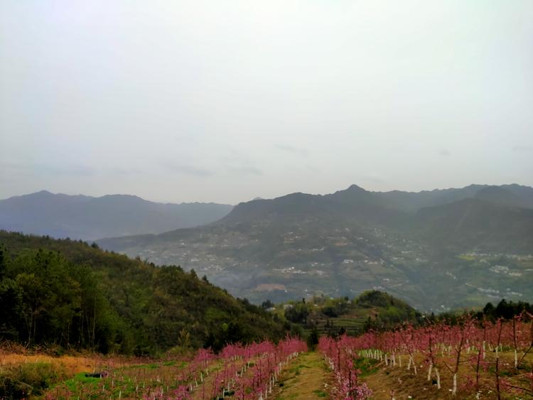 巫山县铭图汽修店的小店