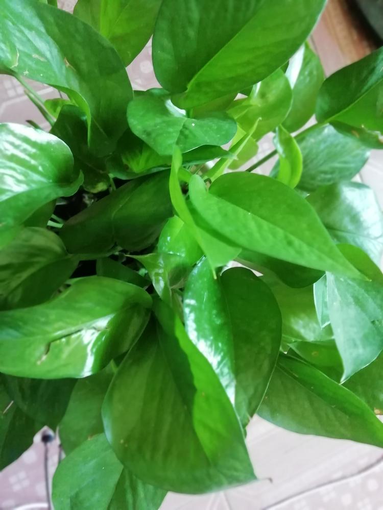 快乐童年天天开心