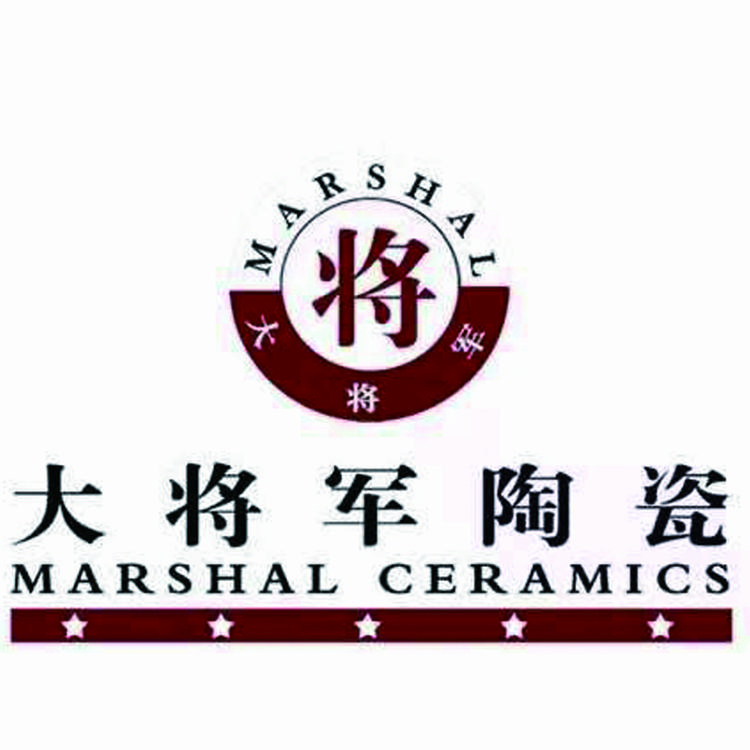 大城县大将军瓷砖的小店