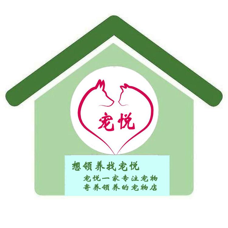 竞秀区宠悦宠物用品店的小店