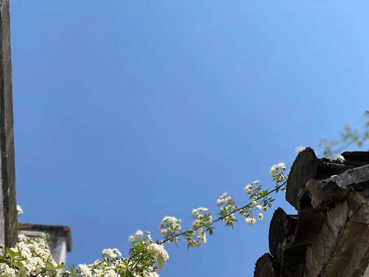 池州美宝行汽车销售服务有限公司的小店