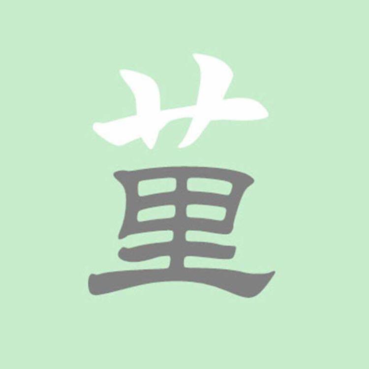 成华区西西里莱鞋业的小店