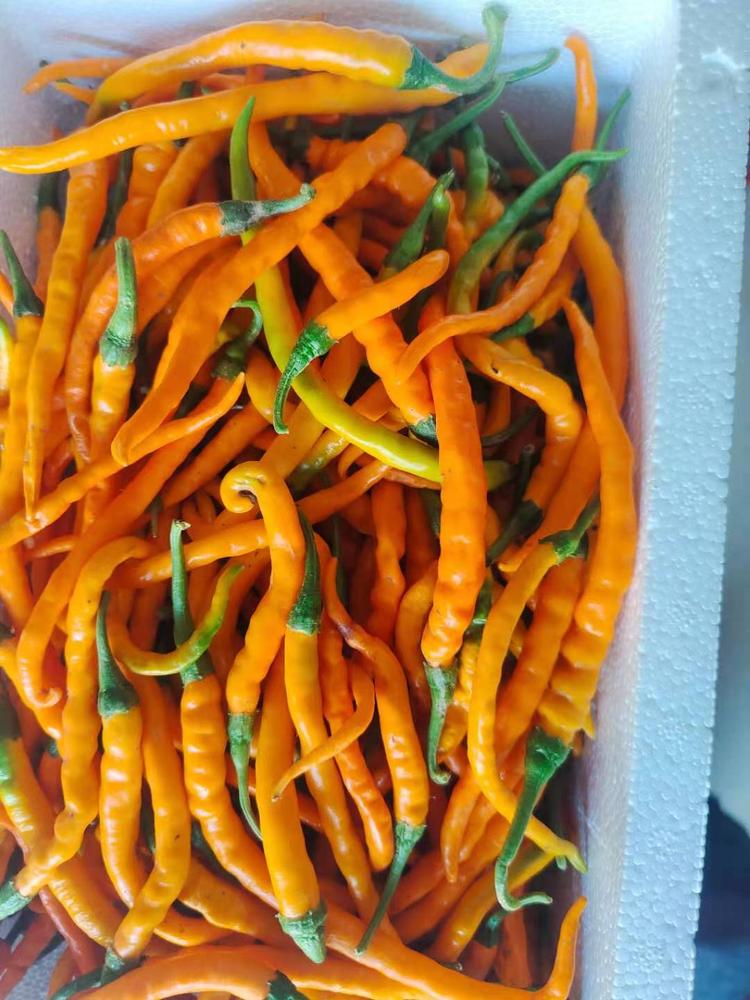 衡东巧妹妹电子商务有限公司的小店