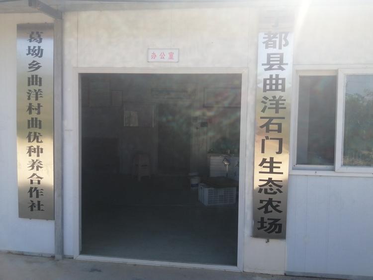 于都县曲洋石门生态农场的小店