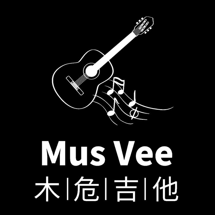 临沧市临翔区木危琴行的小店