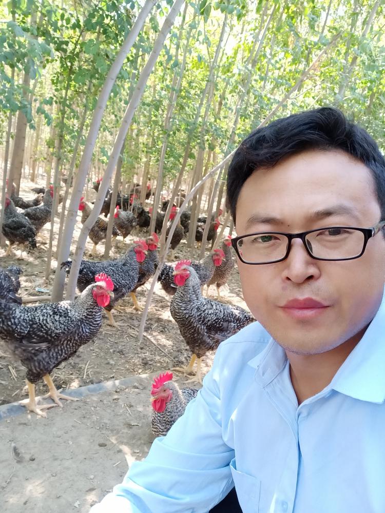 奎屯泽农种植专业合作社的小店