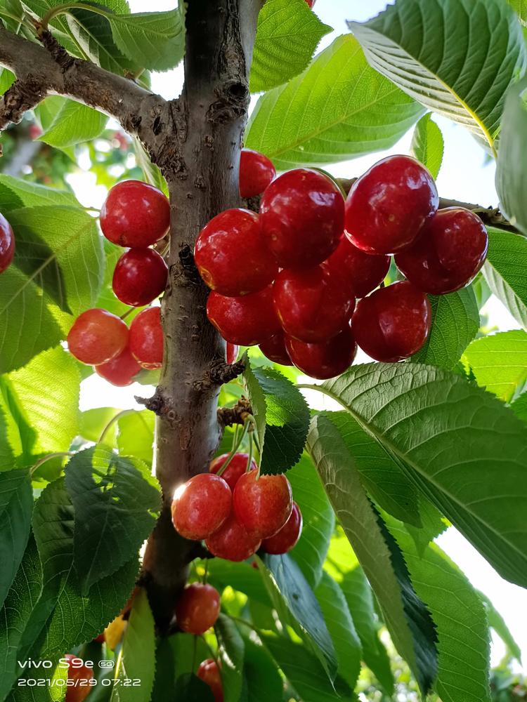 合阳县黑鑫电子服务的小店