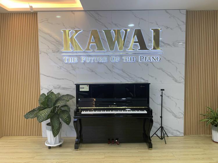 大同市知音琴行有限公司的小店