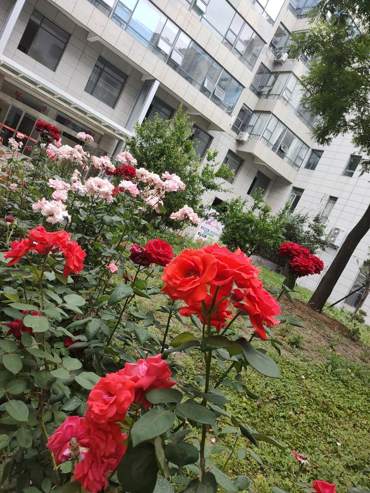 义乌市坦岚电子商务商行的小店