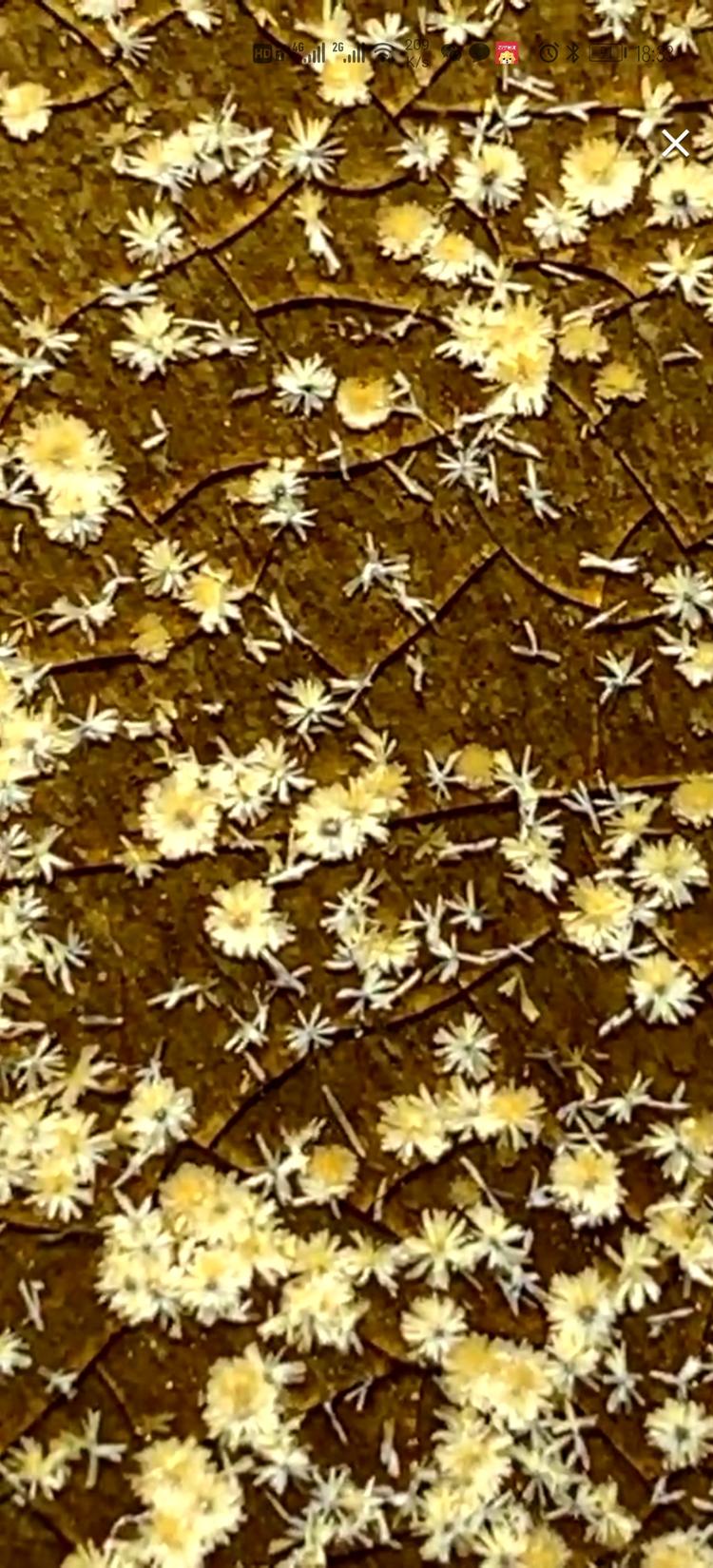 广州秀沃文化传播有限公司的小店