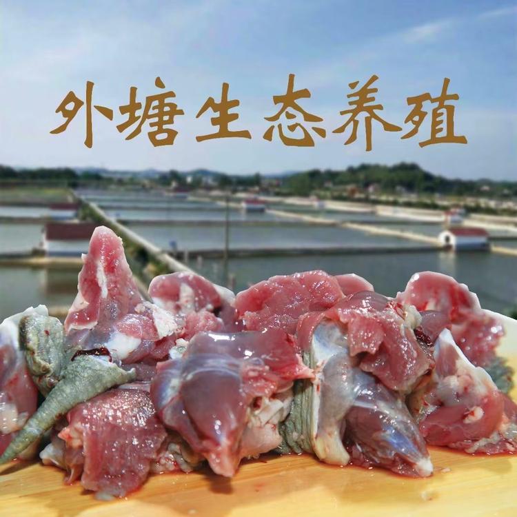 荆州市盈佳农业科技有限公司的小店