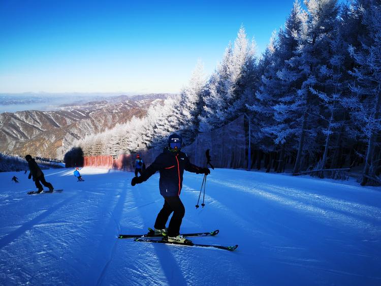 石家庄市华雪海网络科技有限公司的小店