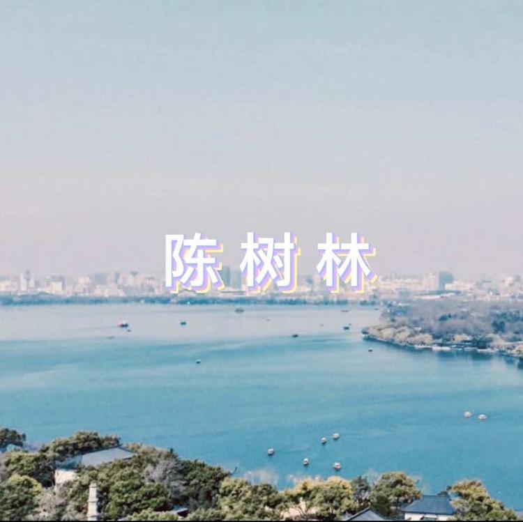 陈树林的小店