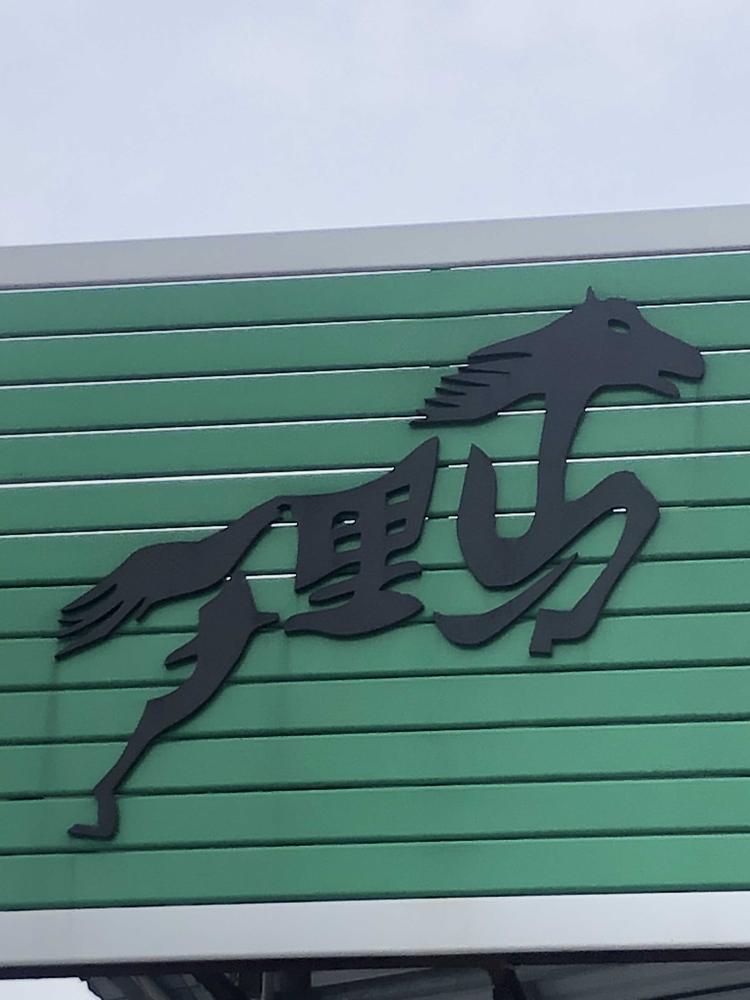 临桂华军汽车销售服务有限公司的小店