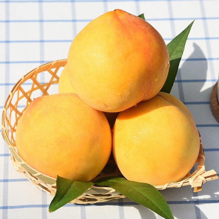 重庆树与湖农业有限公司的小店