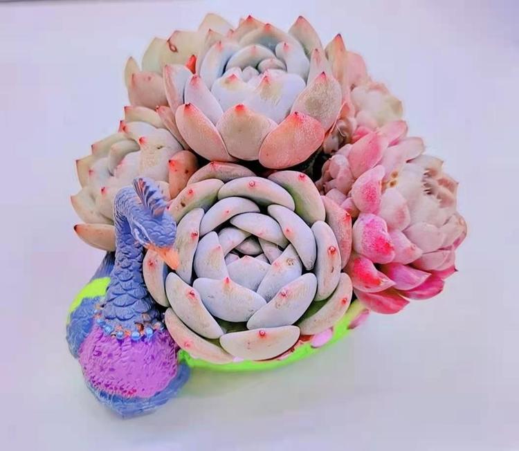 昆明市晋宁区花梦园花卉种植基地的小店