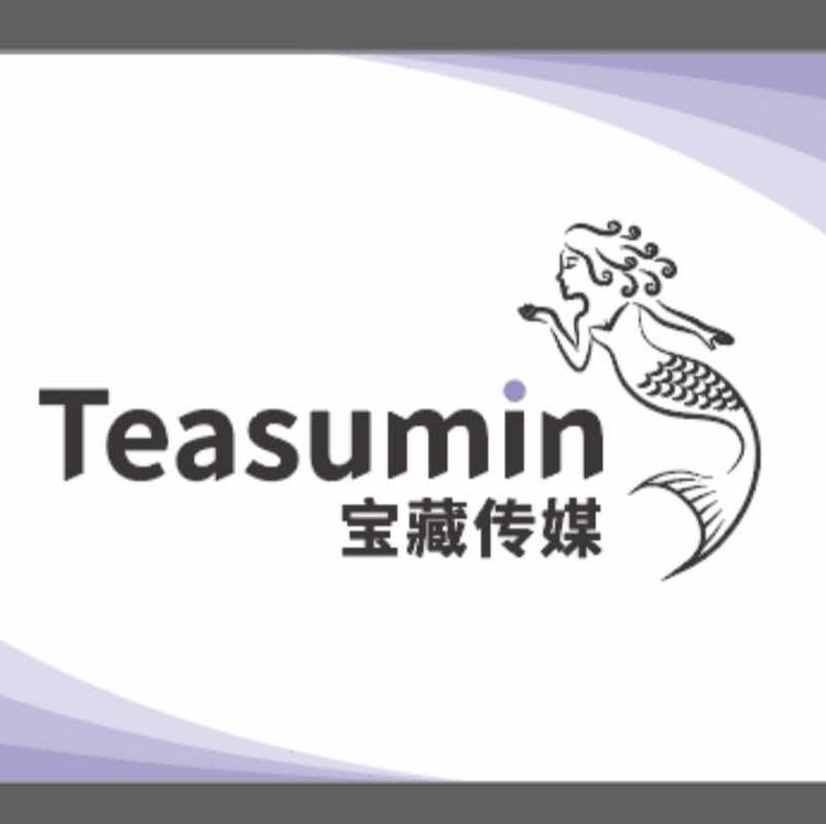海南宝藏传媒有限公司的小店