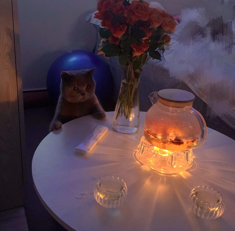 上海靓裕贸易有限公司的小店