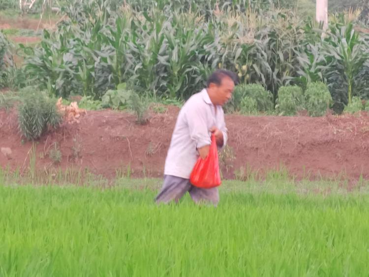 宁波镇海幸石水果店的小店