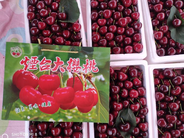 芝罘区大飞果蔬店的小店