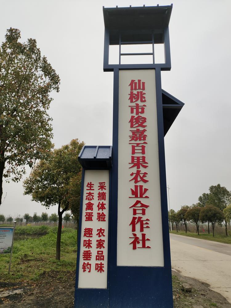仙桃市俊嘉百果农业种植专业合作社的小店