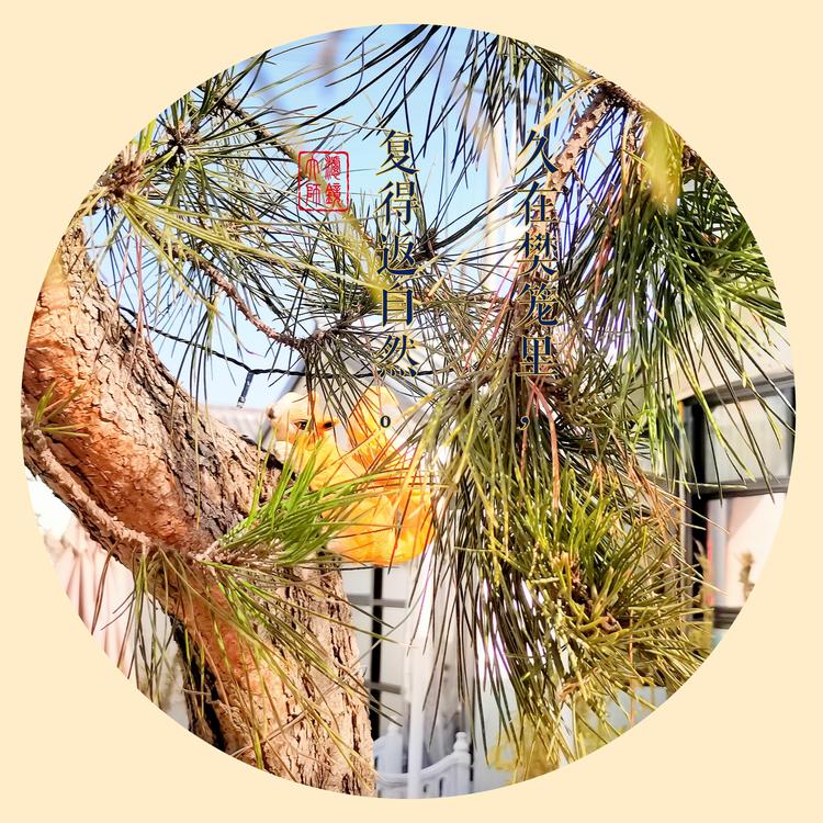 和政县千里行艺术创作中心的小店