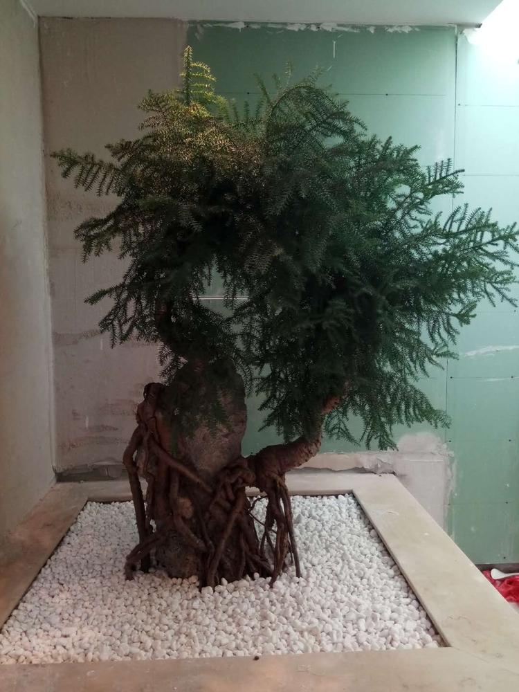 济南成源园林景观工程有限公司的小店