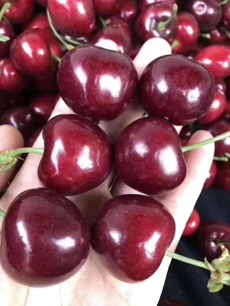 绛县南樊镇如升采摘园的小店