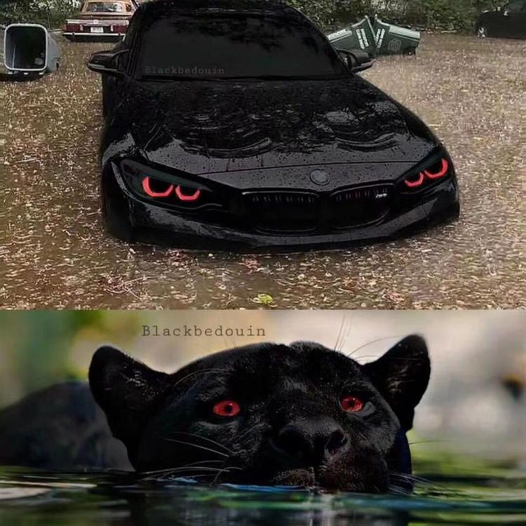 徐州宝之行汽车服务有限公司的小店