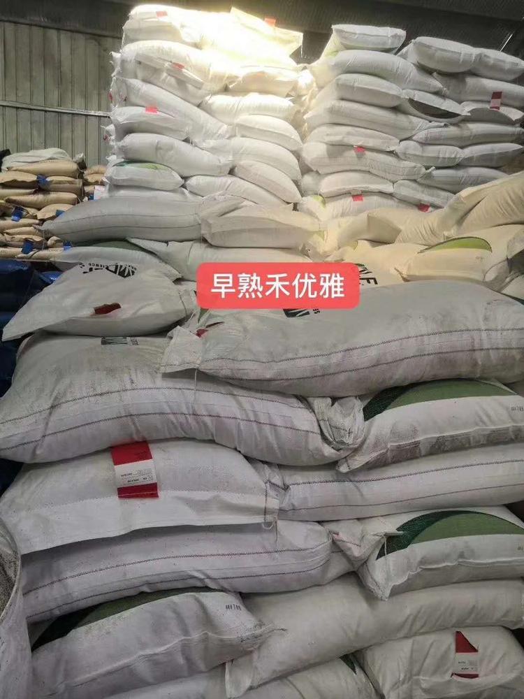 泰安市岱岳区祝阳镇睿优种子经营店的小店