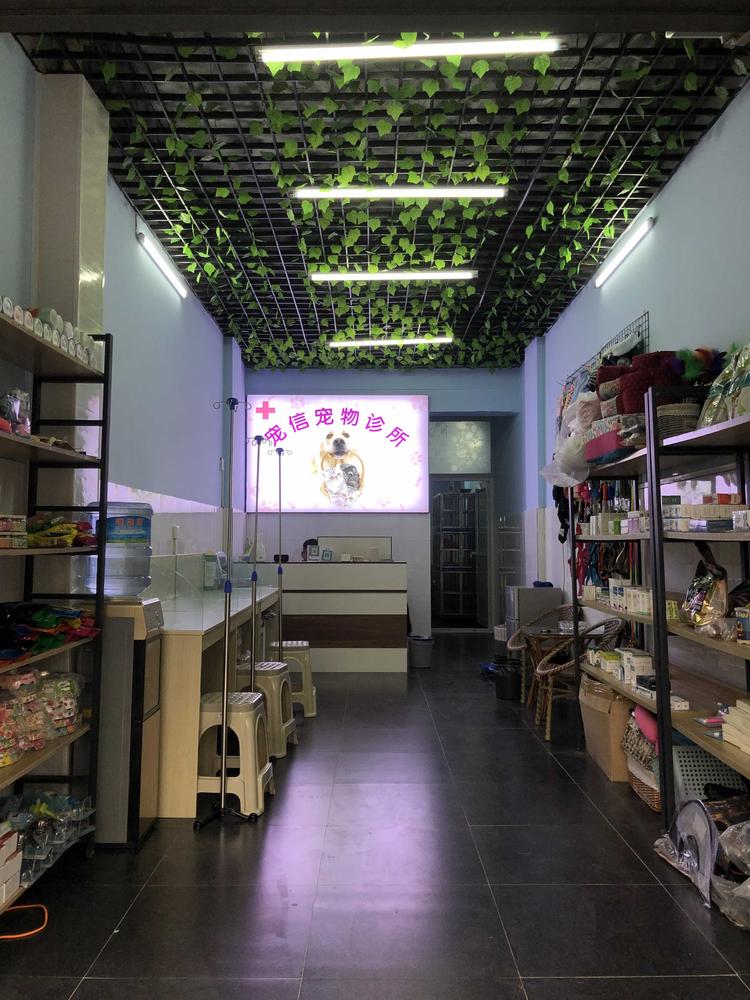 宠信宠物诊所
