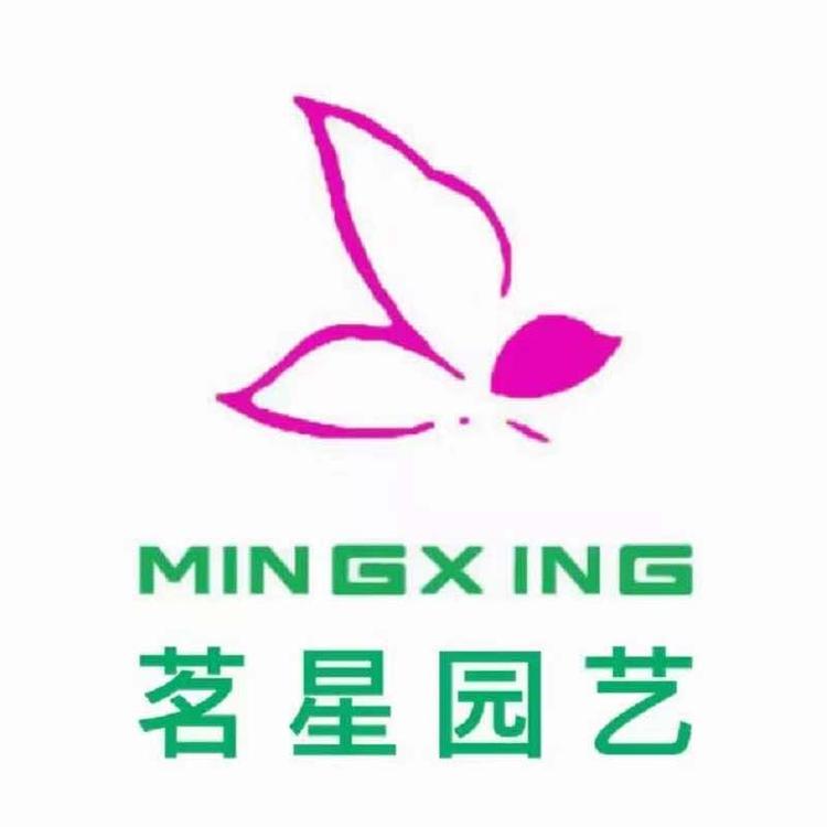昆明茗星园艺有限公司的小店