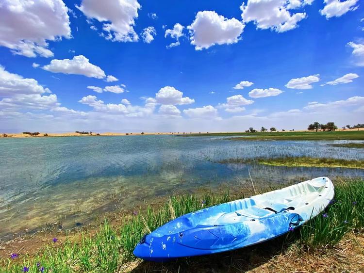 石嘴山市九州旅游有限公司的小店