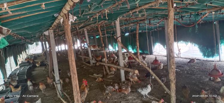 开封市鼓楼区战旗百货店的小店