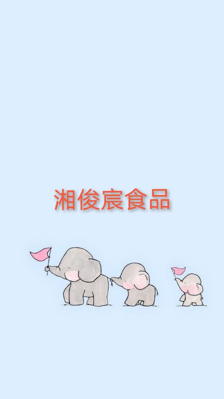 宁乡湘俊宸食品店的小店