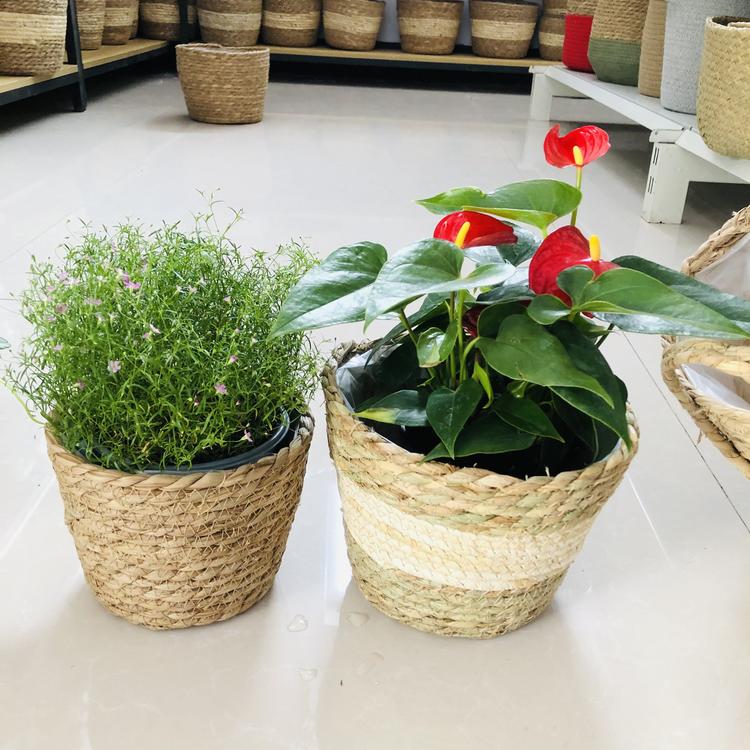 山东镶妞工艺品有限公司的小店