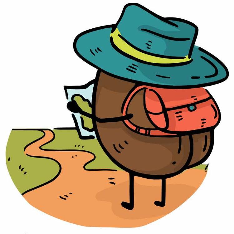 旅行豆食品源头供应链