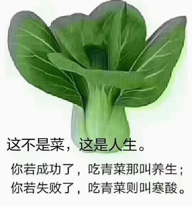 东阳市吴宁乐讯电子商务商行的小店