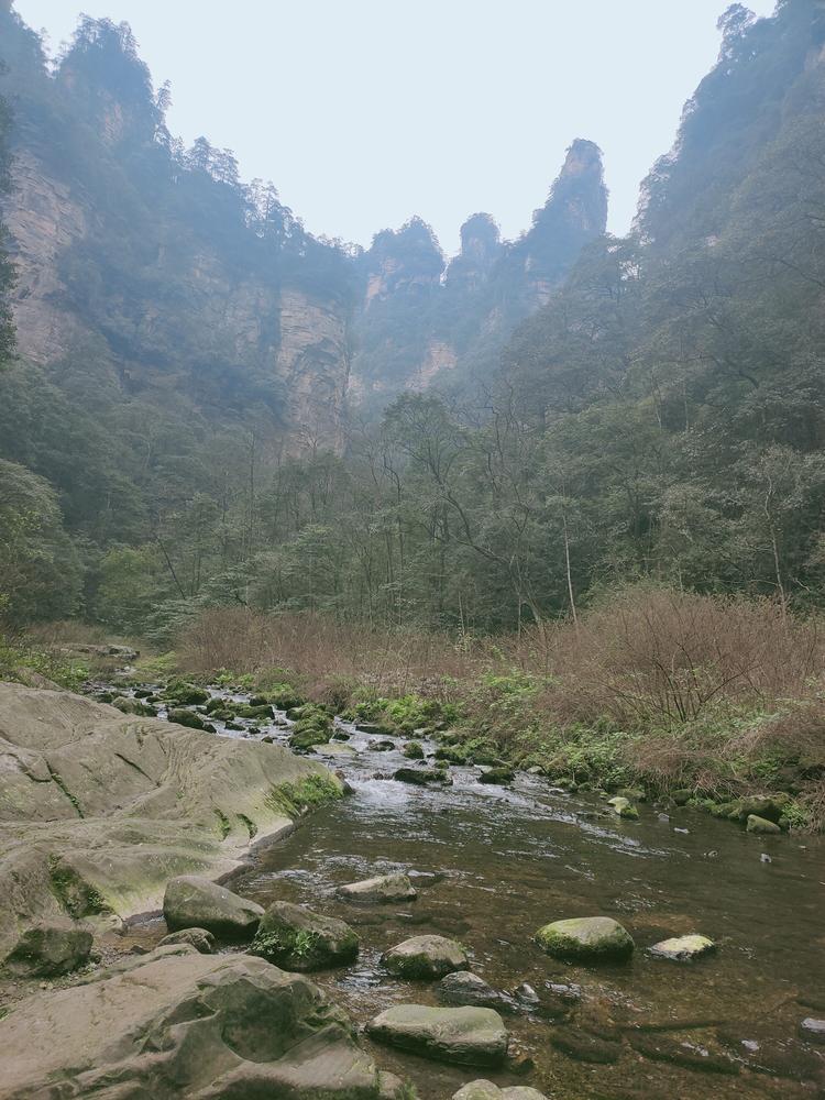 湖南方瑷旅游管理有限公司的小店