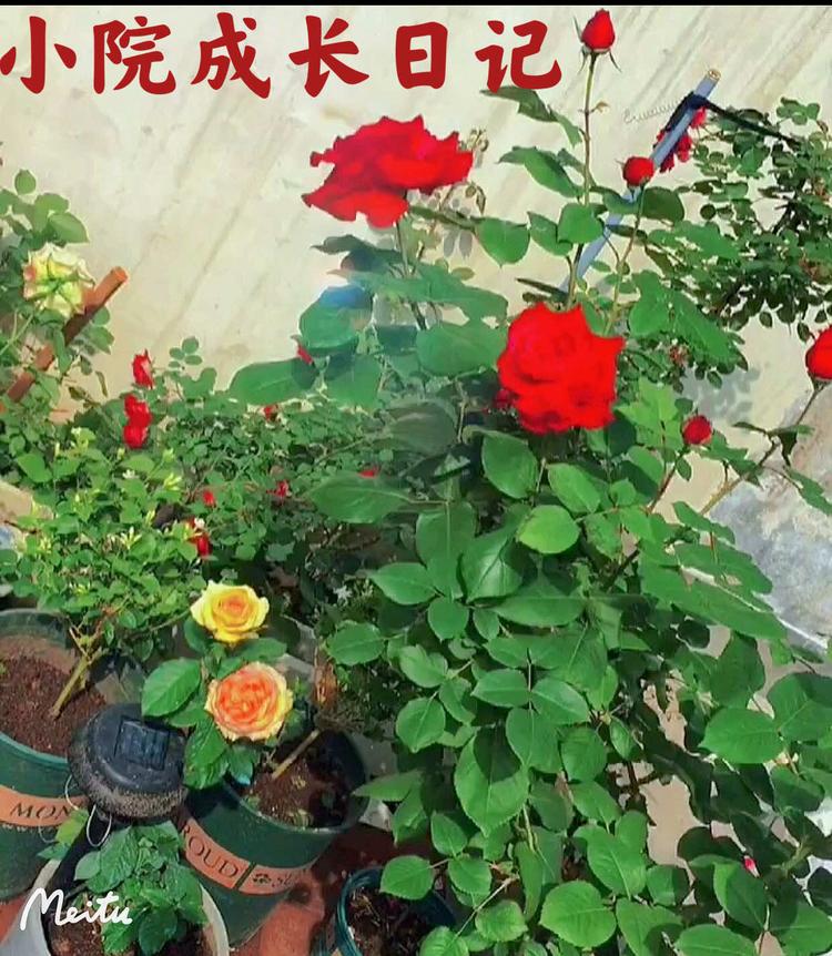 郑州益道企业管理咨询有限公司的小店