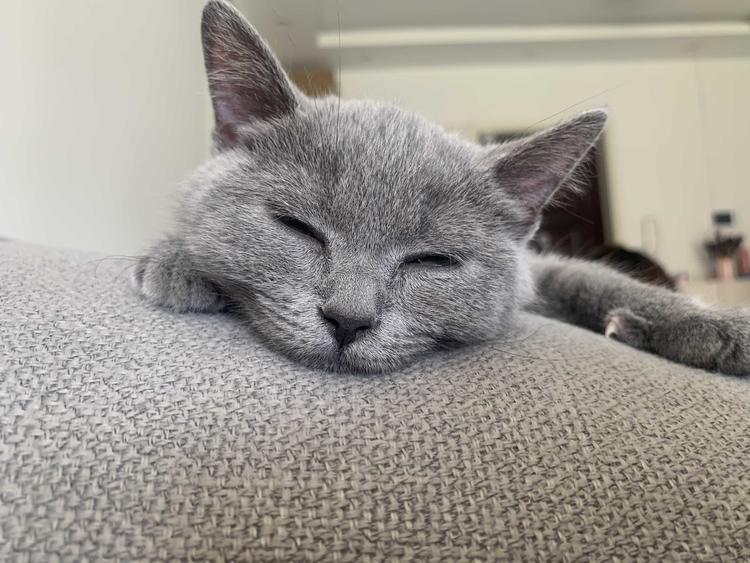 济南市莱芜高新区文健五金建材部的小店