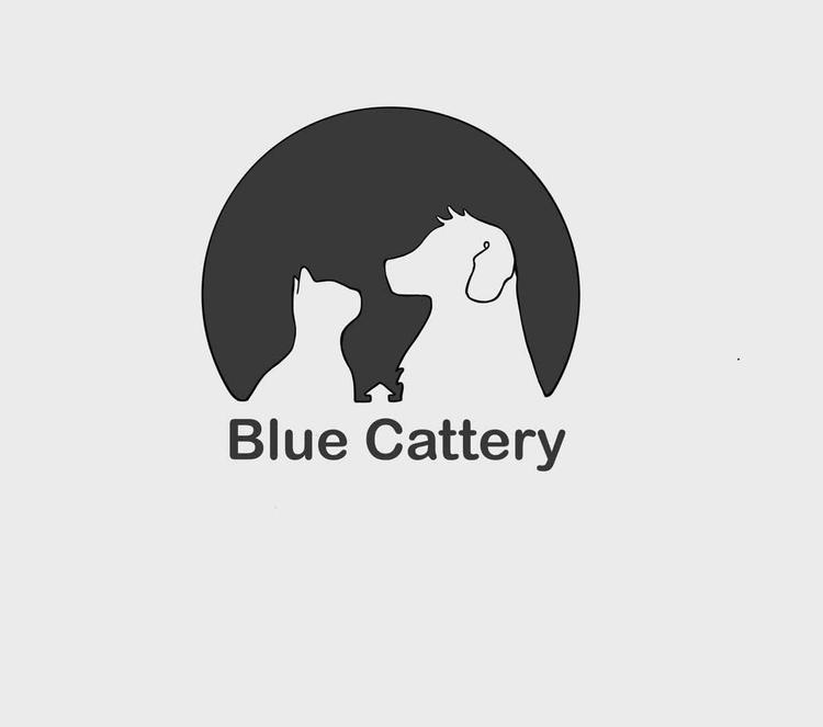 杭州富阳步鲁宠物店的小店