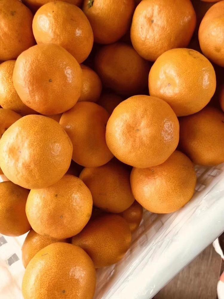 临海市孔氏桔场的小店