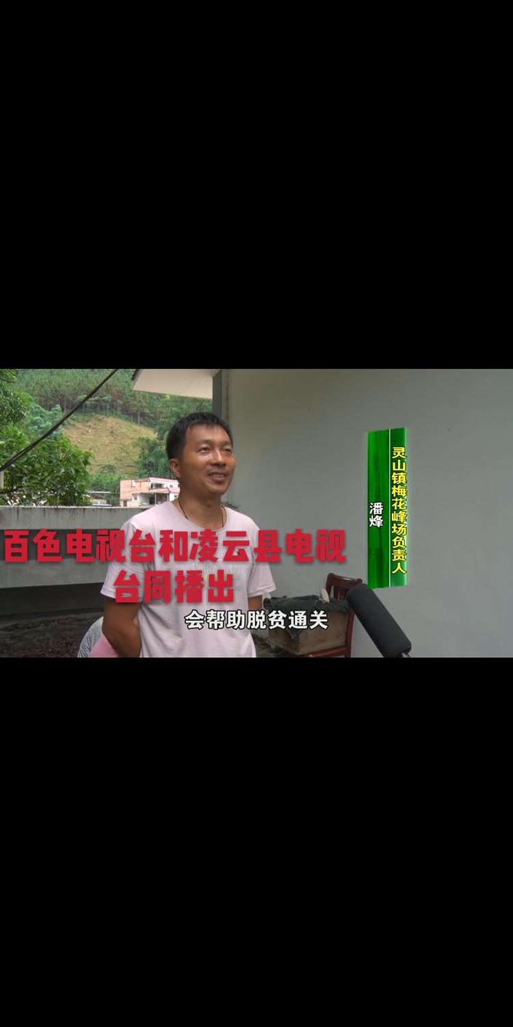 容县灵山镇梅花蜂场的小店